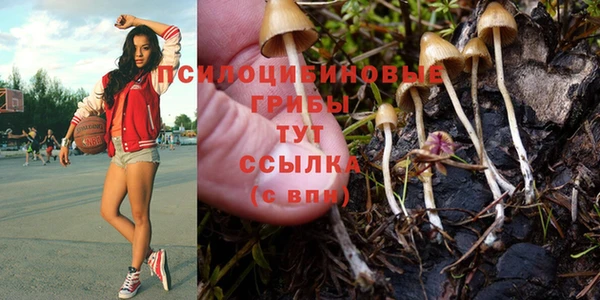стаф Нязепетровск