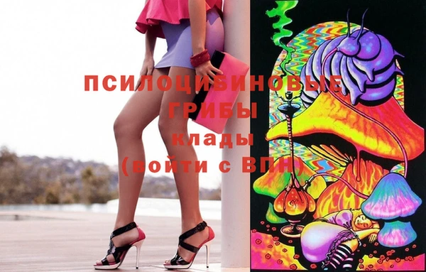 стаф Нязепетровск