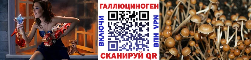 Галлюциногенные грибы прущие грибы  Старая Русса 