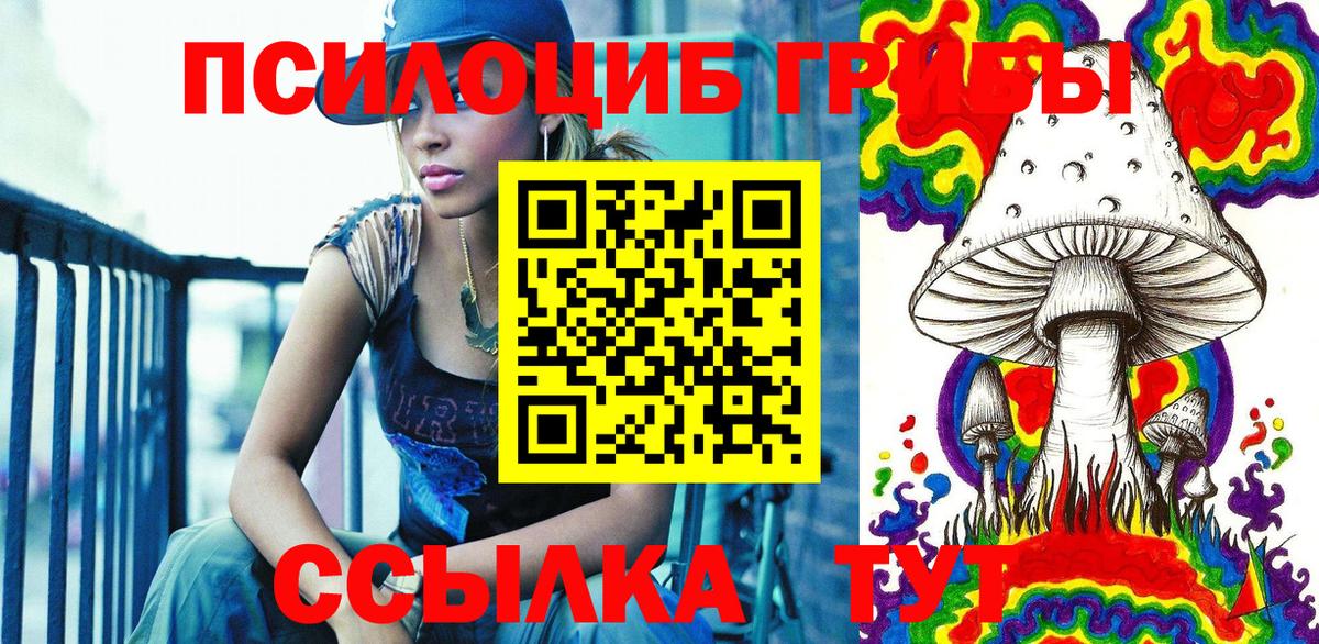 Галлюциногенные грибы Psilocybe  Галлюциногенные грибы Psilocybine cubensis  Старая Русса 