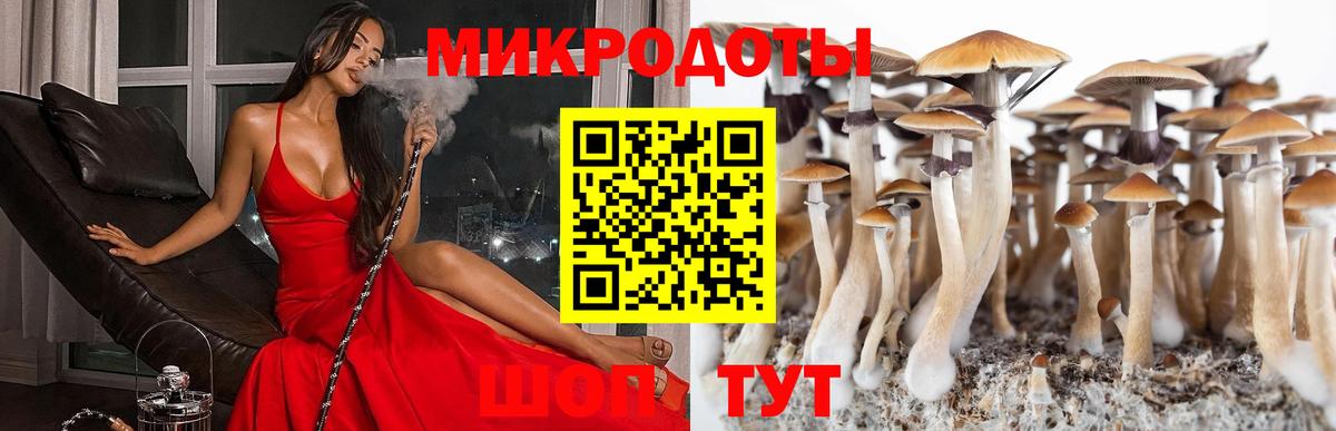 Галлюциногенные грибы GOLDEN TEACHER Старая Русса