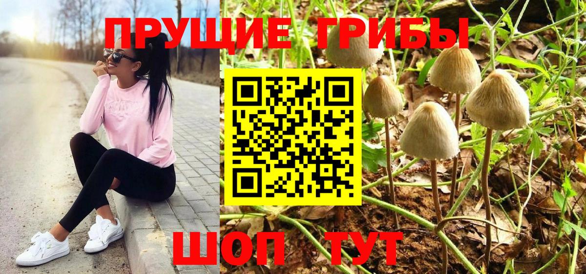Псилоцибиновые грибы ЛСД  Вход с VPN  Старая Русса 